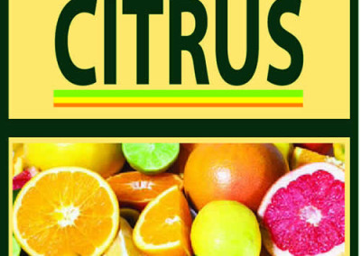 Generic Citrus Vertical Bag