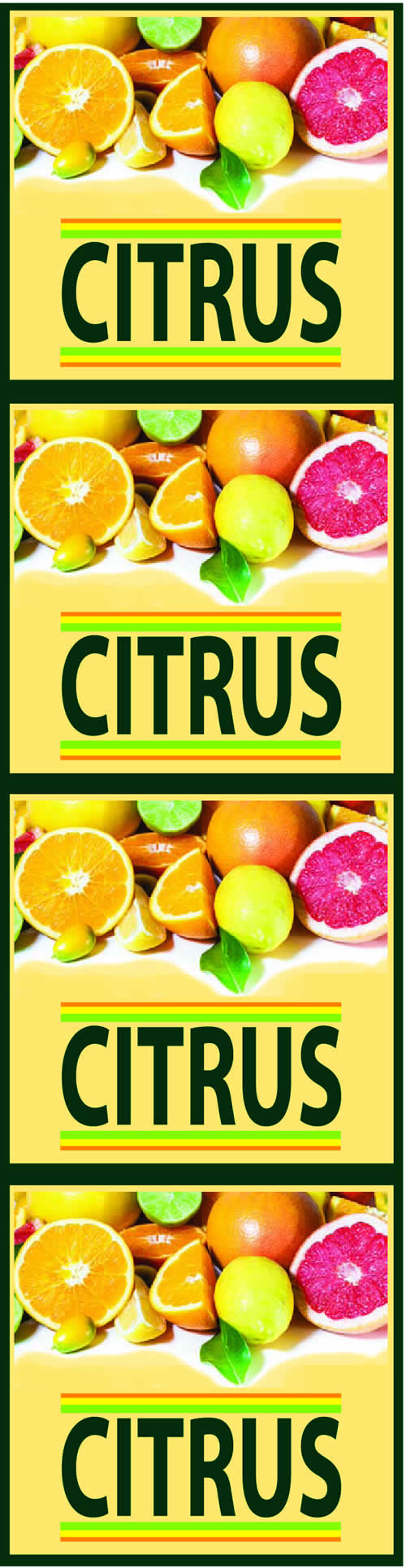 Generic Citrus Vertical Bag